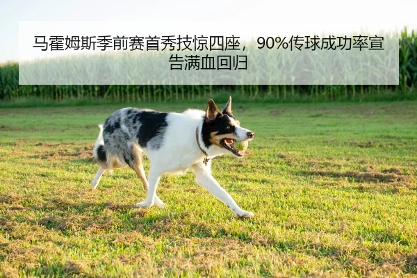 马霍姆斯季前赛首秀技惊四座，90%传球成功率宣告满血回归